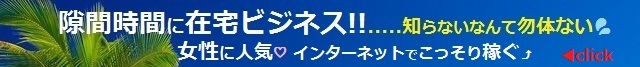 隙間時間に在宅ビジネス・資料請求